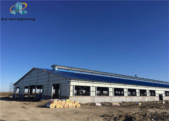30000SQM 전공제품 맞춤식 철강 구조물 창고 공장 제조업자 워크샵 전공 산업 건물