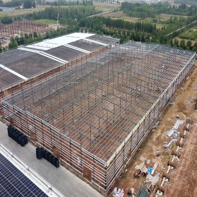 5T 오버헤드 크레인과 함께 100m 철강 구조물 창고