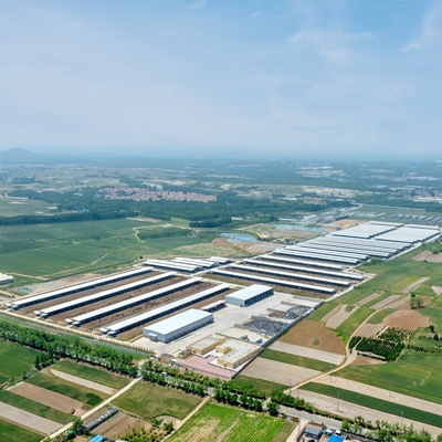 Professional Horse Stalls Corrosion Resistant Indoor Outdoor Use