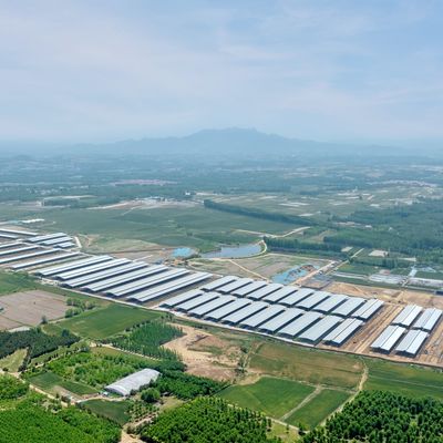 내구성이 뛰어난 표면 처리와 긴 수명을 가진 조립식 강철 구조 모듈식 소 농장 헛간 강철 건물