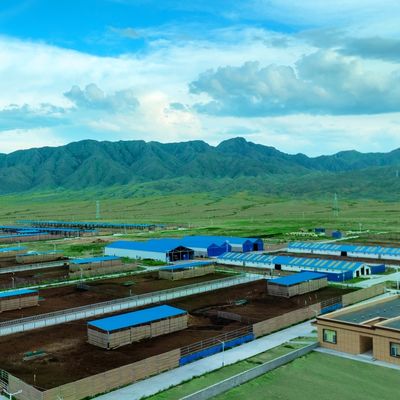 내구성이 뛰어난 표면 처리와 긴 수명을 가진 조립식 강철 구조 모듈식 소 농장 헛간 강철 건물