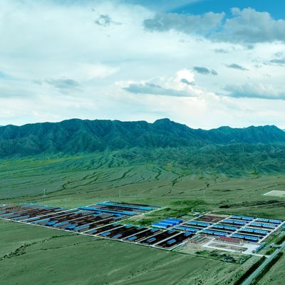 유제품 소 양 20+ 년 수명