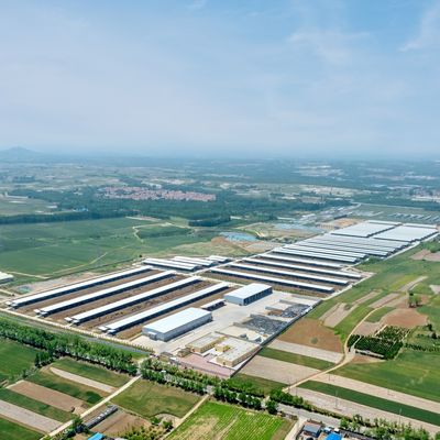 내구성이 뛰어난 표면 처리와 긴 수명을 가진 조립식 강철 구조 모듈식 소 농장 헛간 강철 건물