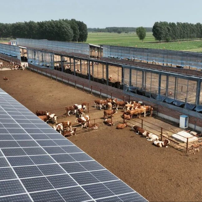 Heavy Duty Steel Horse Stable Modular Design For Customizable Horse Barn Systems