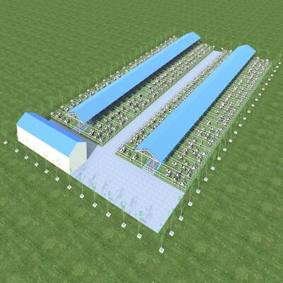 디자인 공급 현대식 강철 구조 젖소 농장 헛간 금속 가축 헛간 통풍 시스템