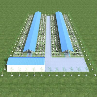 디자인 공급 현대식 강철 구조 젖소 농장 헛간 금속 가축 헛간 통풍 시스템