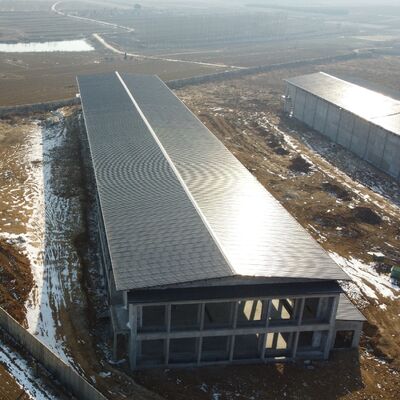 Prefabricated Steel Poultry Sheds Quick-Bolt Assembly No Special Tools Required