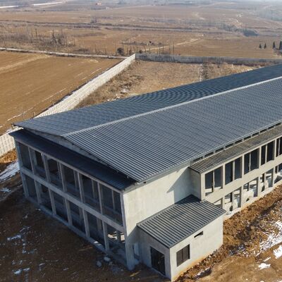 Prefabricated Steel Poultry Sheds Quick-Bolt Assembly No Special Tools Required